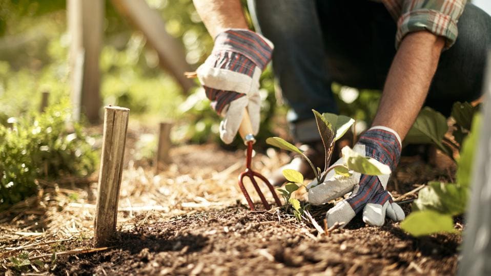 DIY Composting For Beginners