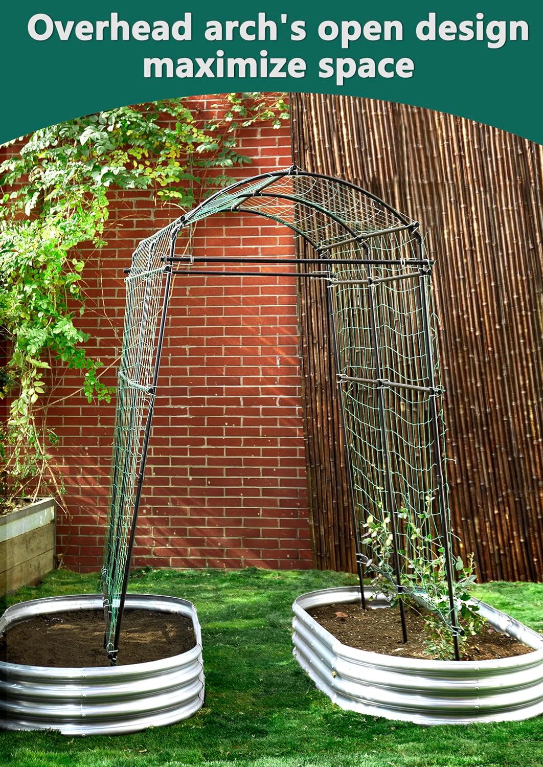 Top 5 Garden Arches: Stylish and Durable Options Reviewed