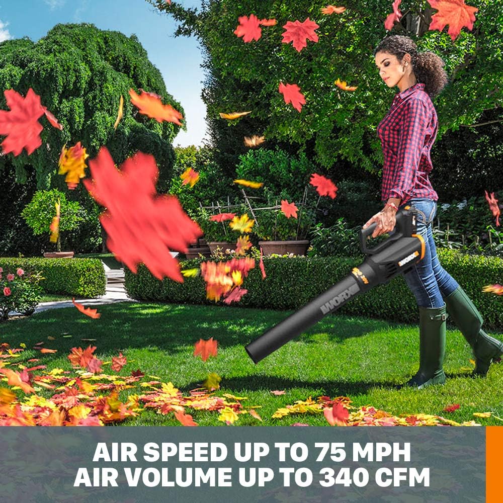 Top 5 Cordless Leaf Blowers: A Comprehensive Comparison