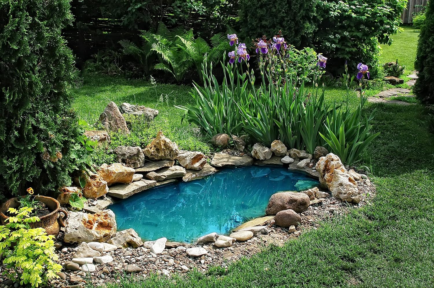 Comparing Top 4 Pond and Water Garden Kits: Simply Ponds vs. Savio