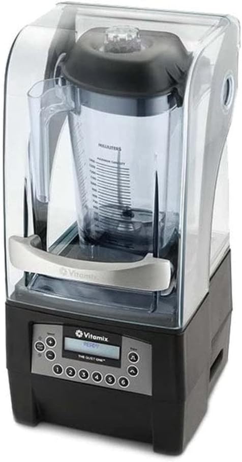 Top 4 Professional Blenders Reviewed: Vitamix, CRANDDI & More