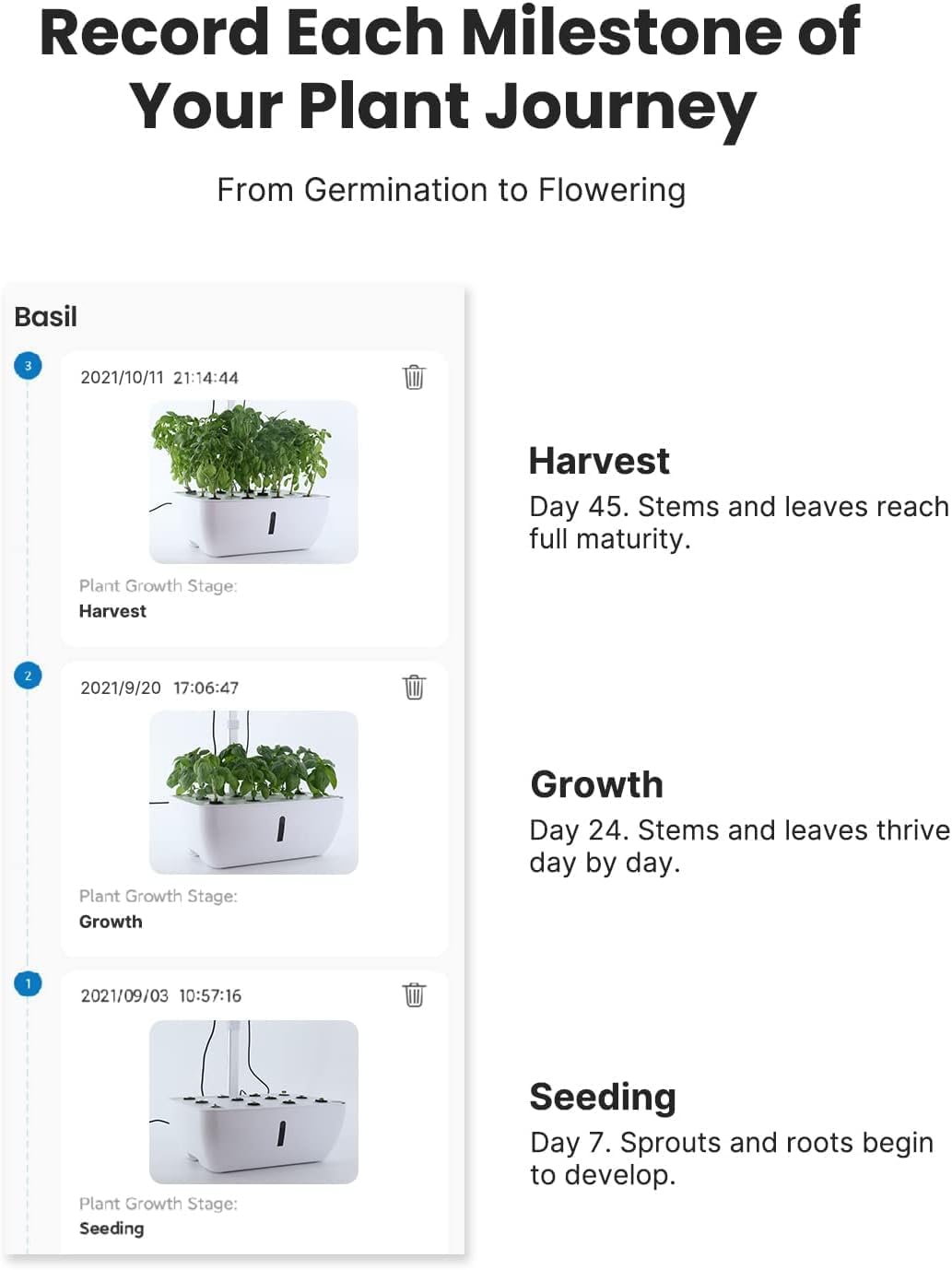 iDOO Hydroponics Growing System Kit 12Pods WiFi App Control